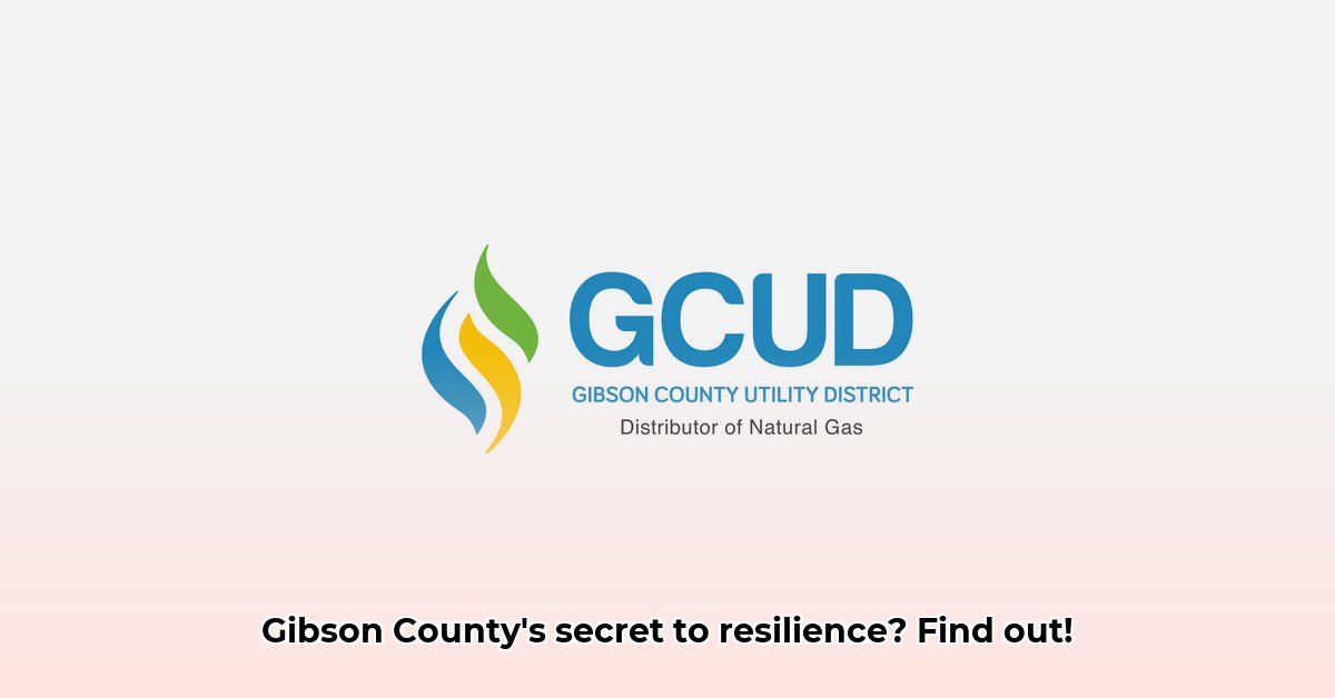 gibson-county-utility-district-trenton-tn